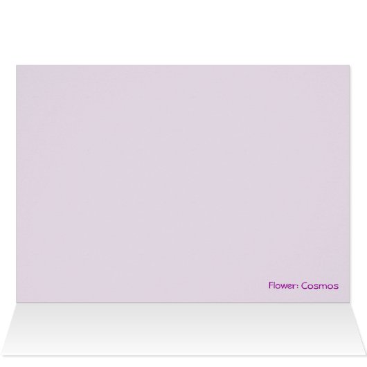 Pink elegant cosmos-flower (Inside Horizontal (Top))