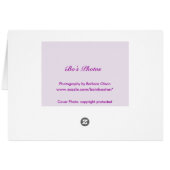 Pink elegant cosmos-flower cards (Back Horizontal)