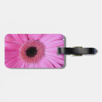 Personalized Gerber Daisy Classic Luggage Tags