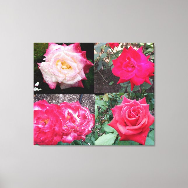 PINK ELEGANT ROSE'S  CANVAS PRINT (Front)