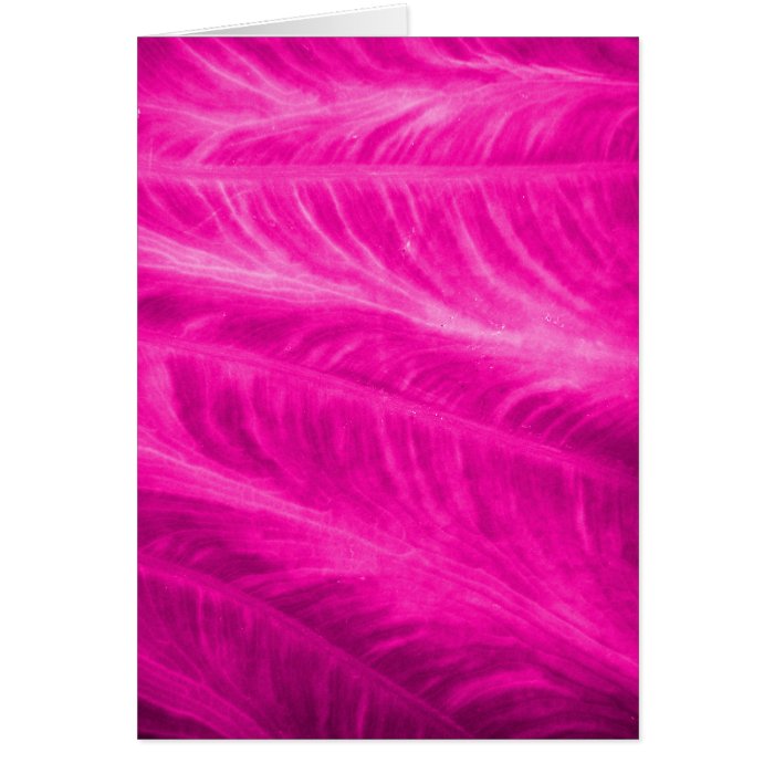 Pink Elephant Ear Close Up Cards