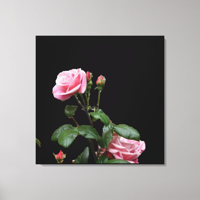 PINK ENGLISH ROSE CANVAS PRINT (Front)