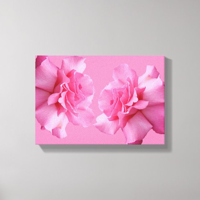Pink English rose flowers fine art boho modern  Canvas Print (Front)