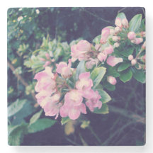 Pink Escallonia Floral