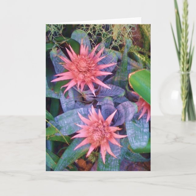 Pink Exotic Blossoms Plant Greeting Card (Front)
