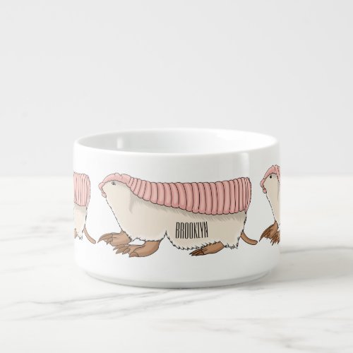 Pink fairy armadillo cartoon illustration  bowl