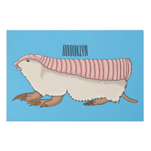 Pink fairy armadillo cartoon illustration faux canvas print