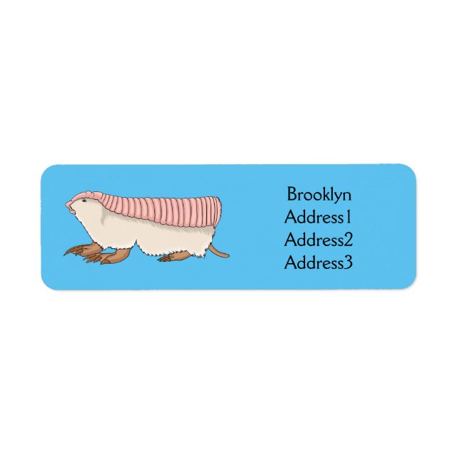 Pink fairy armadillo cartoon illustration label (Front)