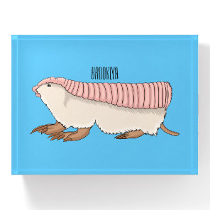 Pink fairy armadillo cartoon illustration paperweight