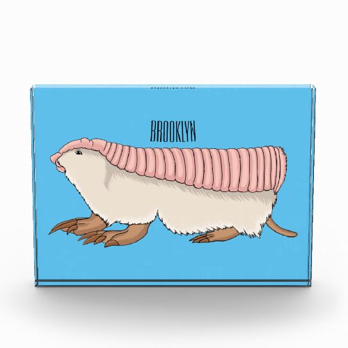 Pink fairy armadillo cartoon illustration  photo block