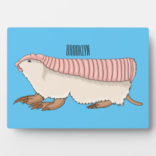 Pink fairy armadillo cartoon illustration plaque