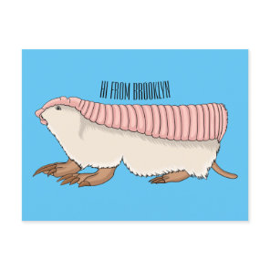 Pink fairy armadillo cartoon illustration postcard
