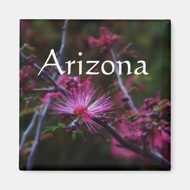 pink fairy duster magnet, Arizona Magnet (Front)