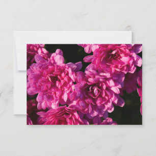 Pink Fall Mums Note Card