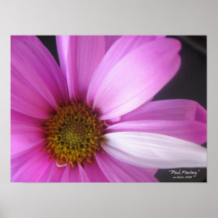 Pink Fantasy - Poster