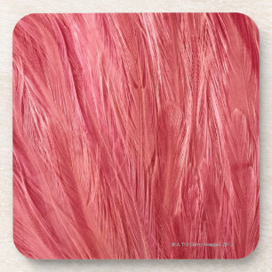 Pink Feathers Coaster
