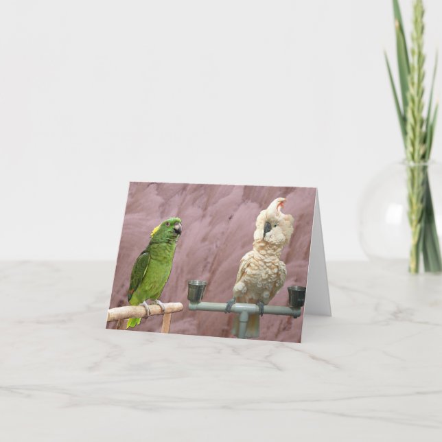 Pink Feathers Small Note Card (Front)