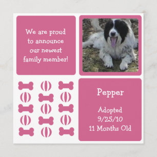 Pink Female Dog Pet Announcement Photo Cards