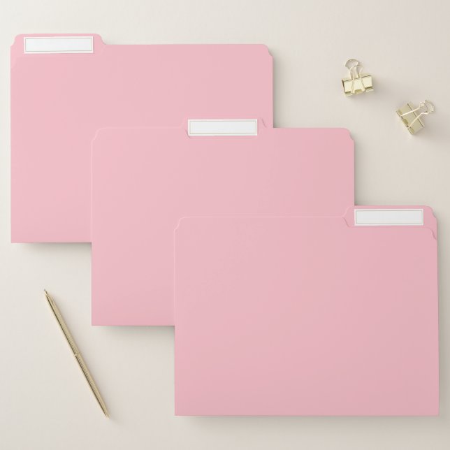 Pink File Folder (Set)