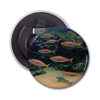 Pink Fish Shoal Bottle Opener by beachcafe at Zazzle