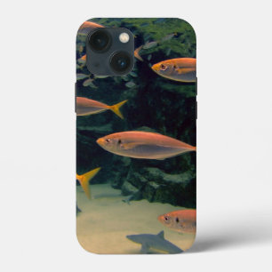 Pink Fish Shoal iPhone 13 Mini Case