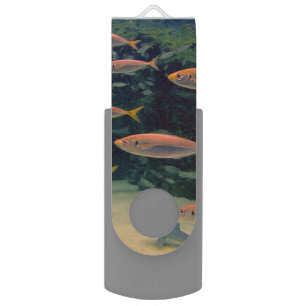 Pink Fish Shoal Underwater Photo Flash Drive