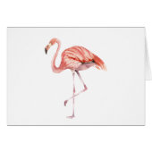 Pink Flamingo (Front Horizontal)