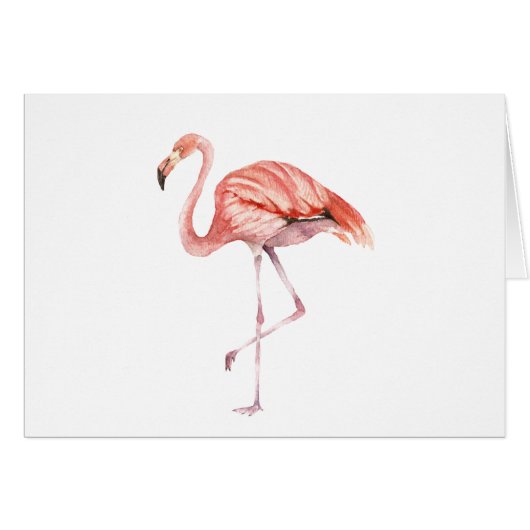 Pink Flamingo (Front Horizontal)