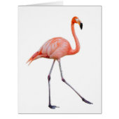 Pink Flamingo (Front)