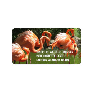 Pink Flamingo Address Labels