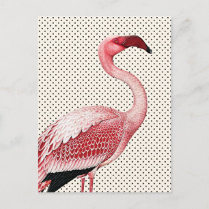 Pink Flamingo and Vintage Polka Dots Postcard
