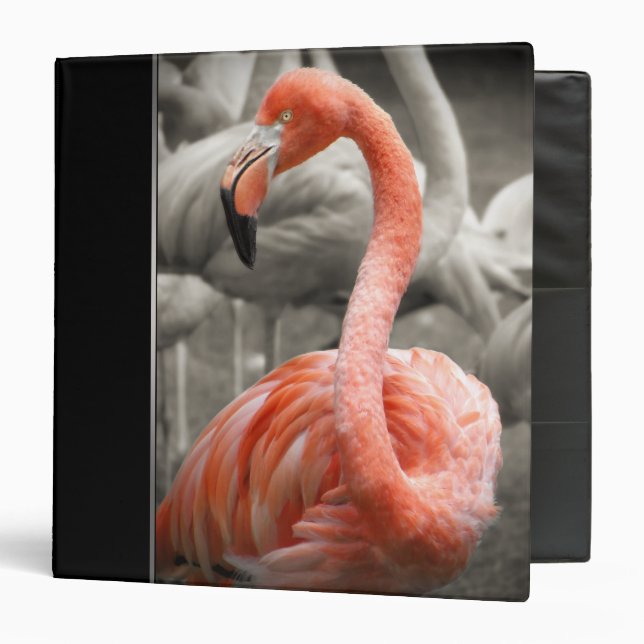 Pink Flamingo binder (Front/Inside)