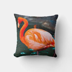 Pink Flamingo Bird Photo Beautiful Bold Modern Throw Pillow