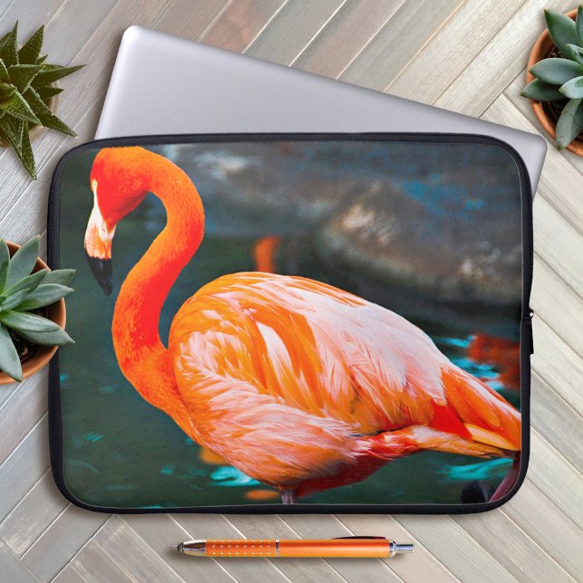 Pink Flamingo Bird Photography Beautiful Modern Laptop Sleeve (Creator Uploaded)