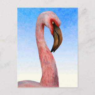 Pink Flamingo Bird Watercolor Painting Postcard