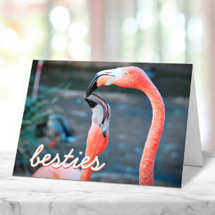Pink Flamingo Birds Photo Besties Script Stylish Card