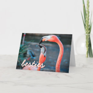 Pink Flamingo Birds Photo Besties Script Stylish Card