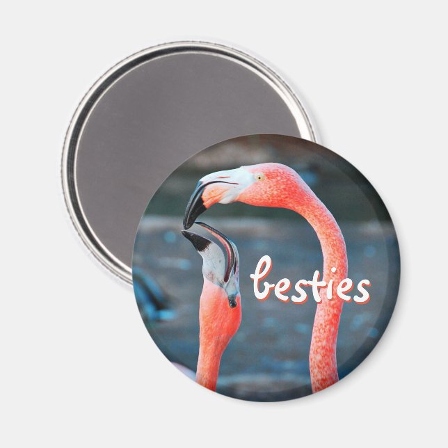 Pink Flamingo Birds Photo Besties Script Stylish Magnet (Front/Back)