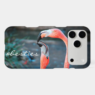 Pink Flamingo Birds Photo Friends Besties Script iPhone 17 Pro Max Case