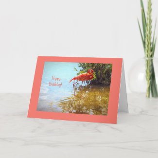 Pink Flamingo Birthday Card