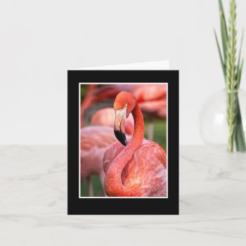 Pink Flamingo Blank Note Card by LivingLife at Zazzle