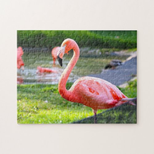 Pink Flamingo California Jigsaw Puzzle