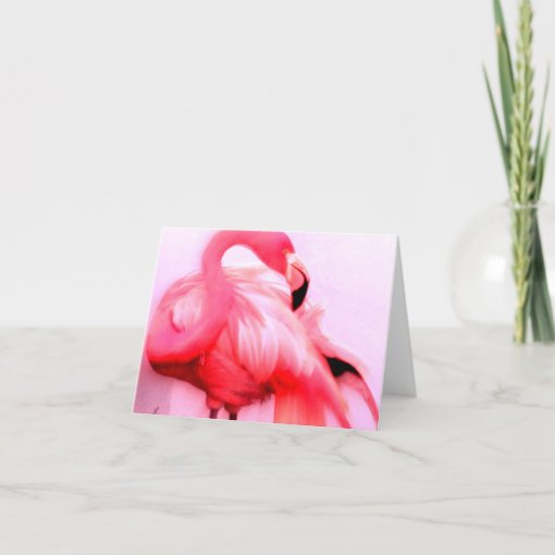 Pink Flamingo Card | Zazzle