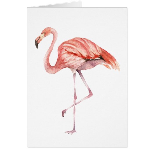 Pink Flamingo Cards (Front)