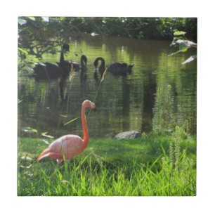 Pink Flamingo Ceramic Tile