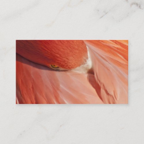 Pink Flamingo Closeup Business Card