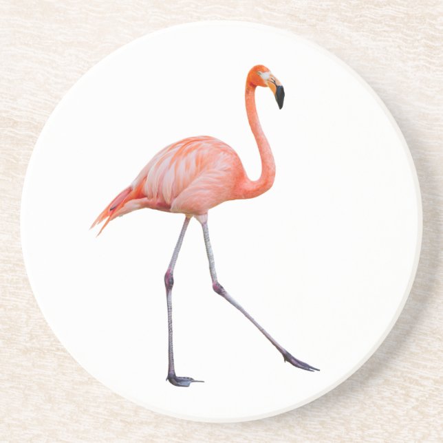 Pink Flamingo Coaster (Front)