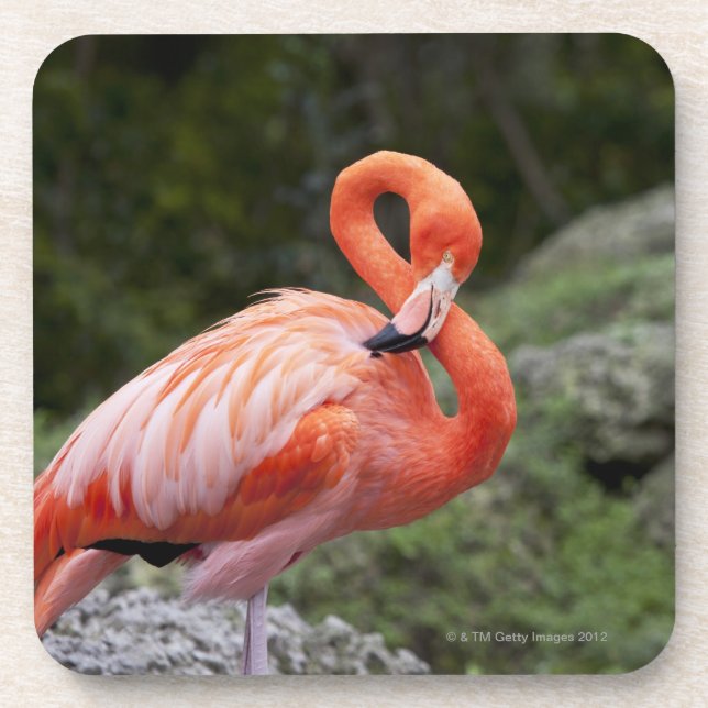 Pink Flamingo Drink Coaster (Front)