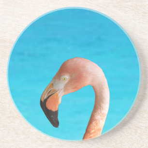 Pink flamingo face against blue water on a coaster