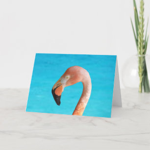 Pink flamingo face against blue water on card